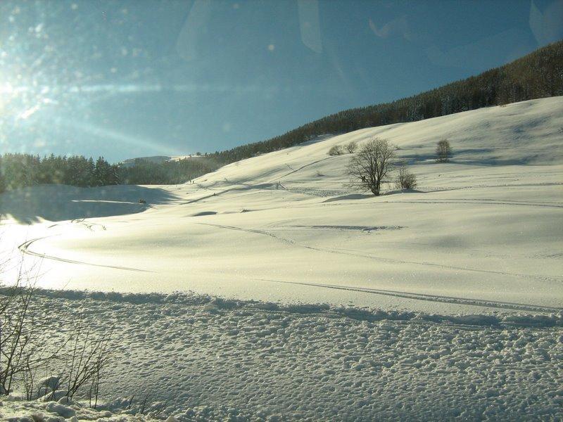 Appartamenti Vacanze Lagolo Lagolo di Calavino Exterior foto